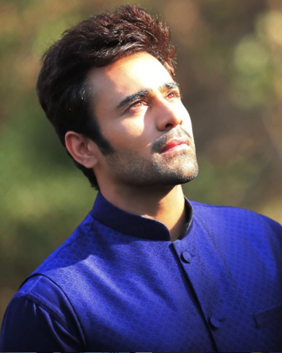 पर्ल वी पुरी