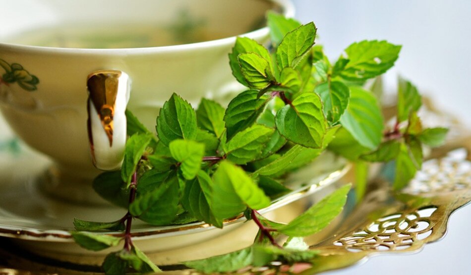 हर्बल चाय9