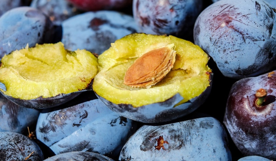 एंटीऑक्सीडेंट से भरपूर10