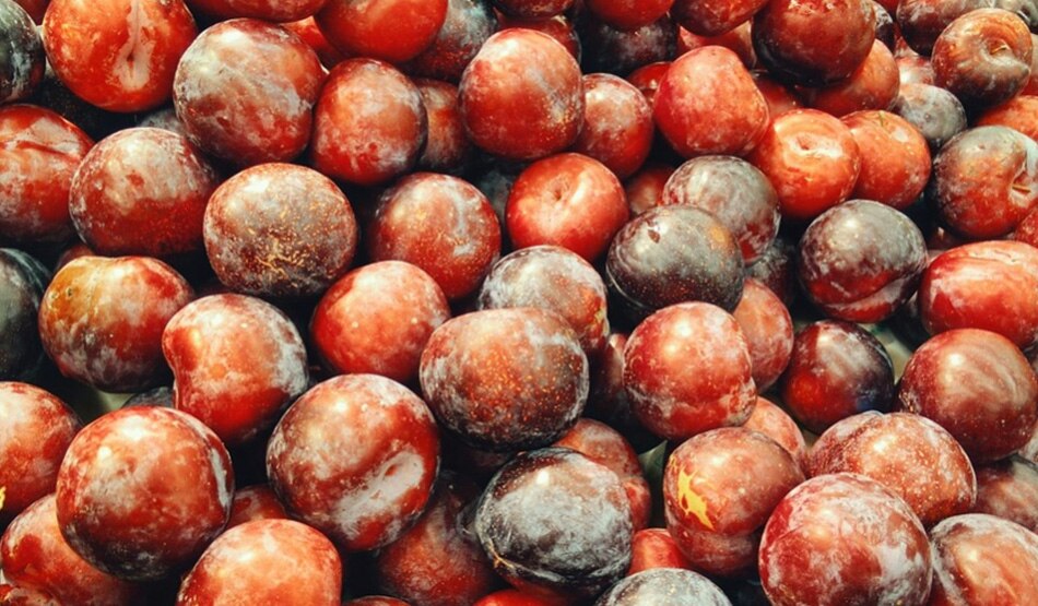 आलूबुखारा3