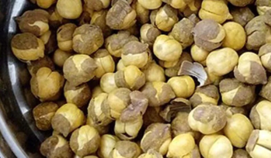 भुने चने