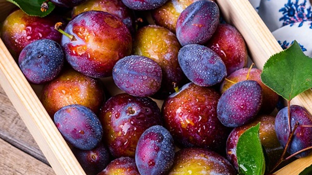 आलूबुखारा खाने के फायदे (photo credit- pixabay)