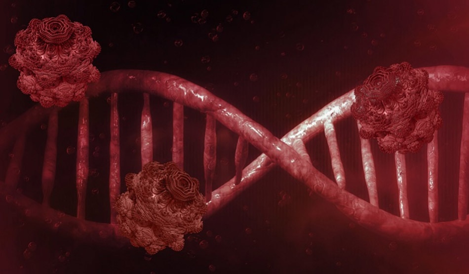 कार्बन कॉपिज2