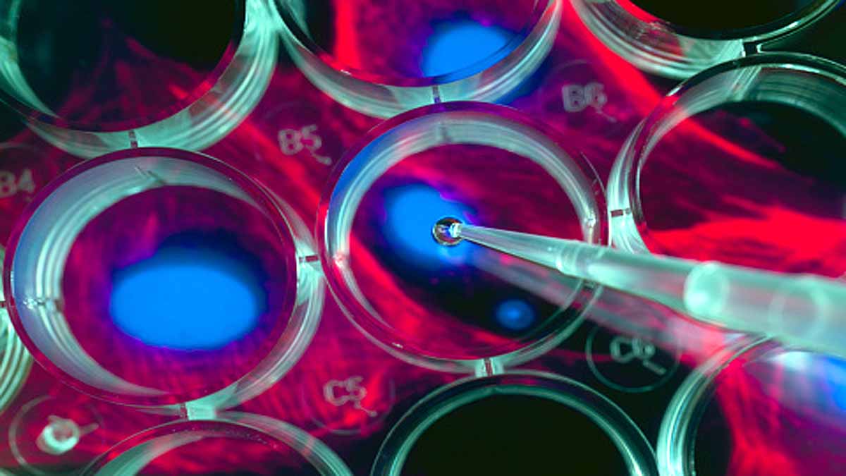 Lancet Cancer Alcohol