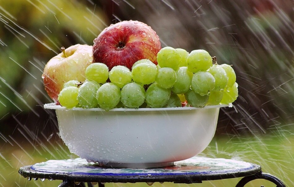 भक्ति के प्रसाद से भस्म होगा कोरोना