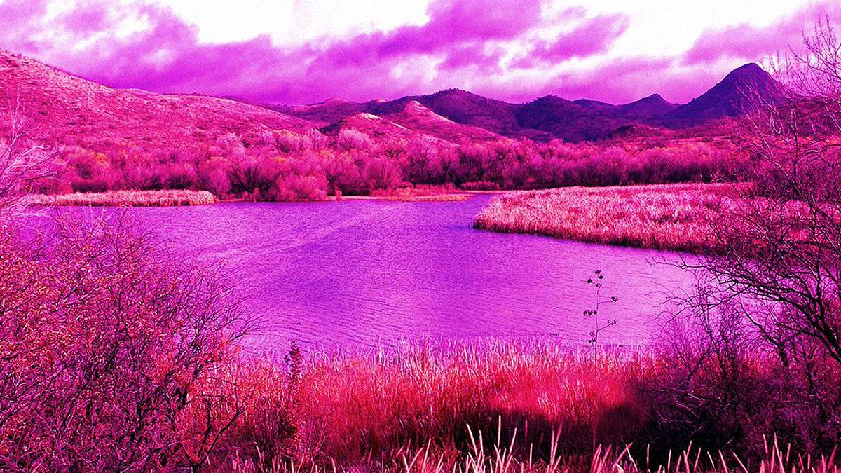 Pink Pollution in Patagonia Argentina TSTR