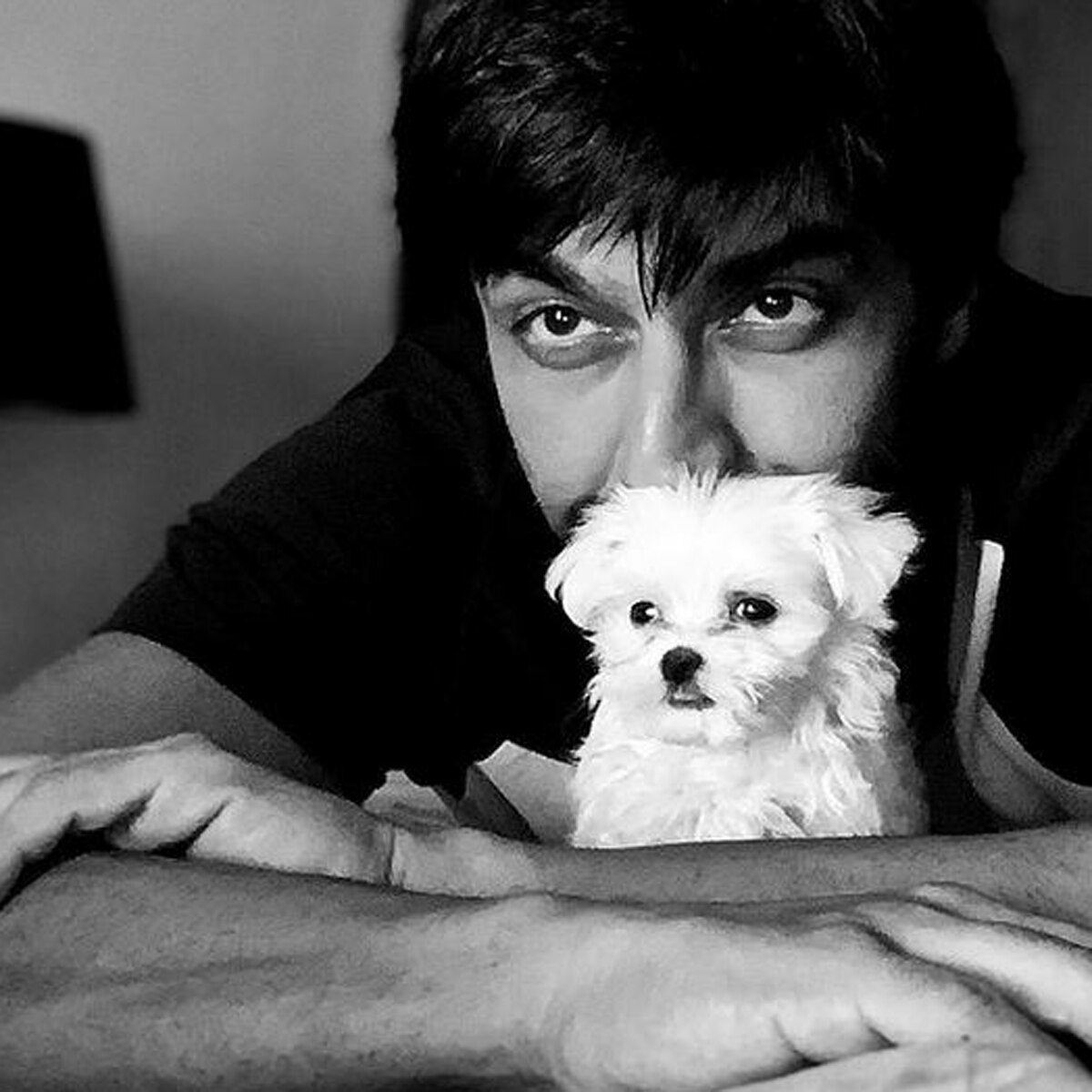 आशीष चौधरी