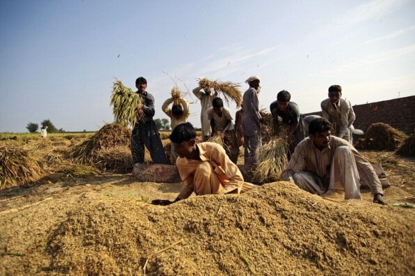 पाकिस्तान