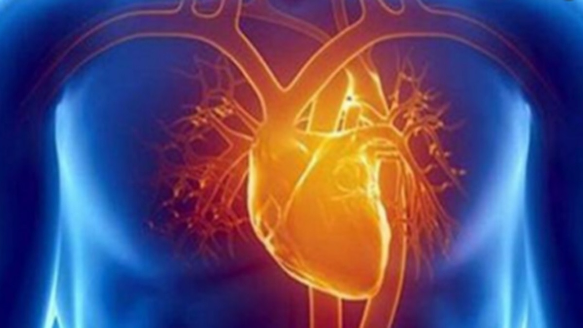 दिल के लिए फायदेमंद