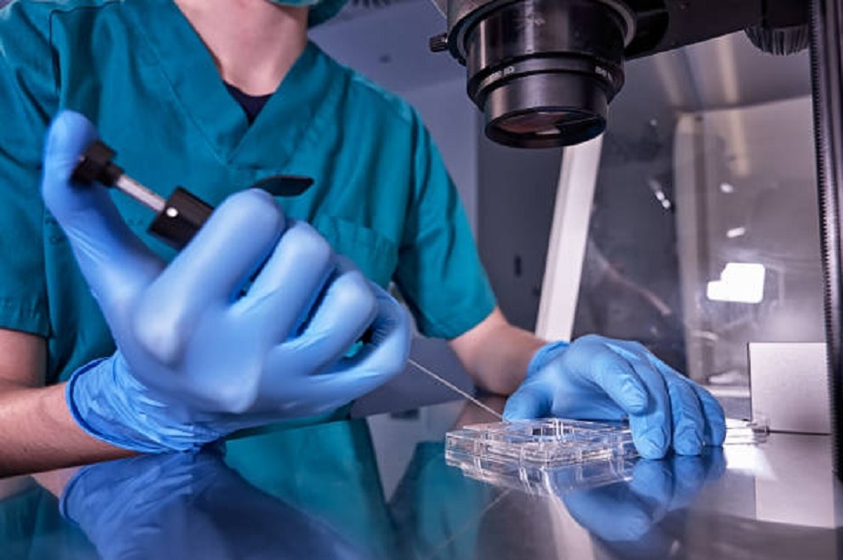 क्यों और कैसे पैदा होते हैं जुड़वां बच्चे?