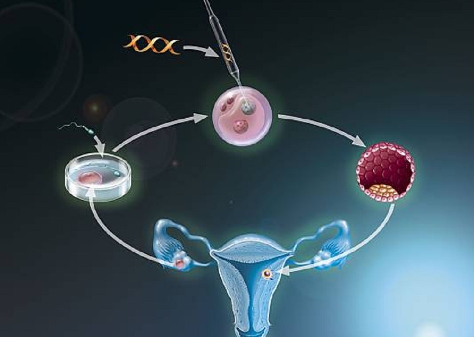 क्यों और कैसे पैदा होते हैं जुड़वां बच्चे?