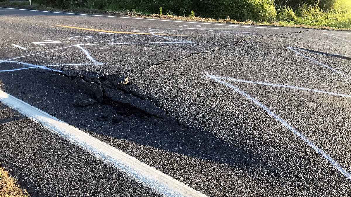 Heatwave Sea Creatures Died