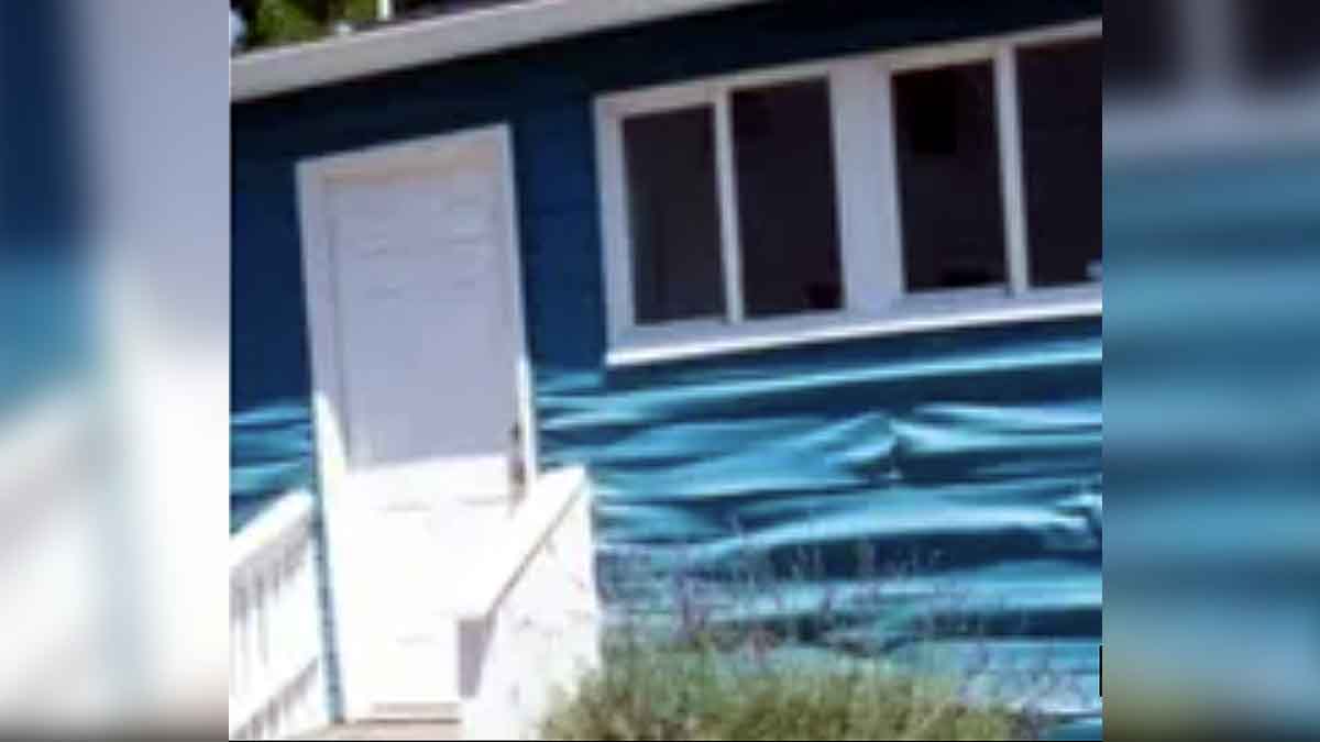 Heatwave Sea Creatures Died