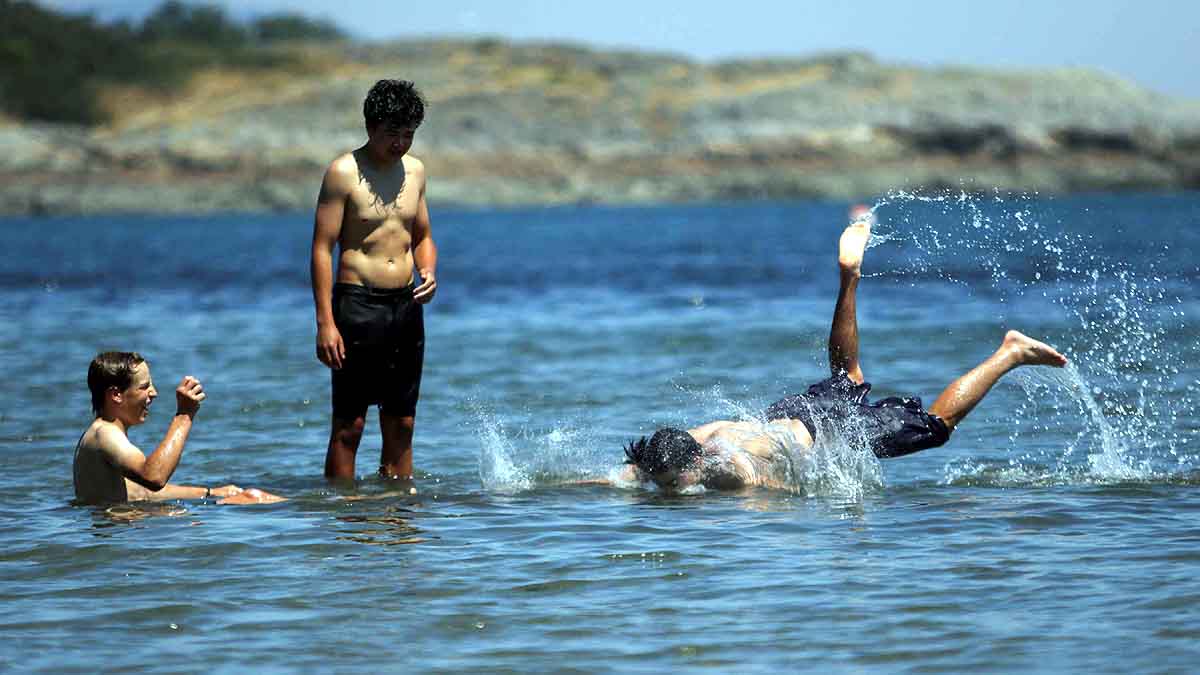 Heatwave Sea Creatures Died