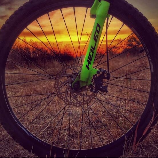 कंपनी की वेबसाइट पर जाकर करें बुक 