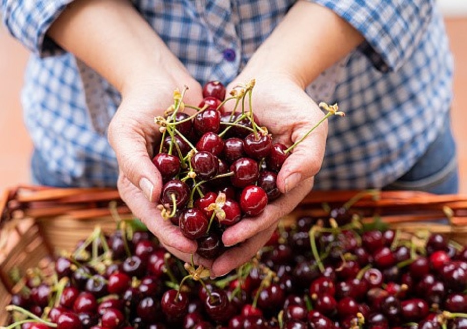 मॉनसून में जरूर खाएं ये 10 फल