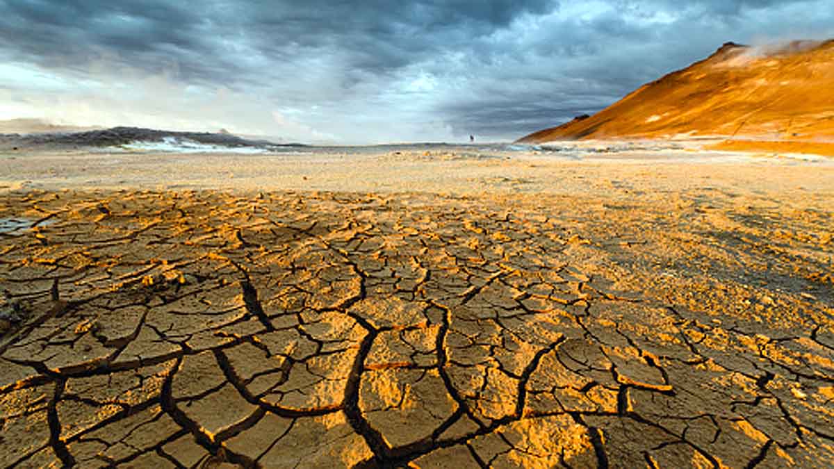 Human Body Climate Change