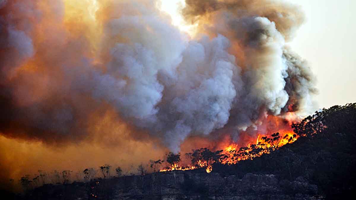 Human Body Climate Change