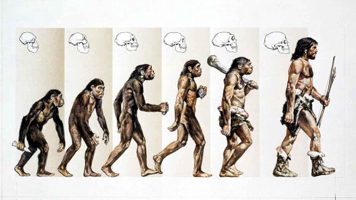 Human Body Climate Change