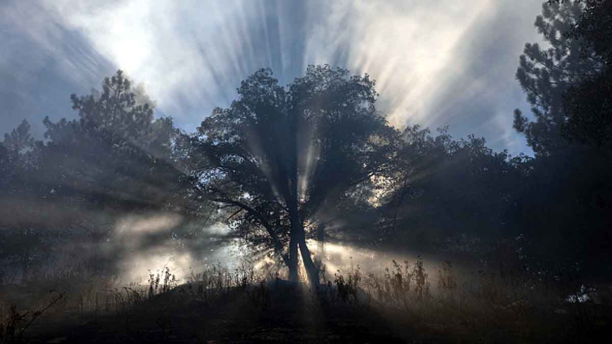 Human Body Climate Change