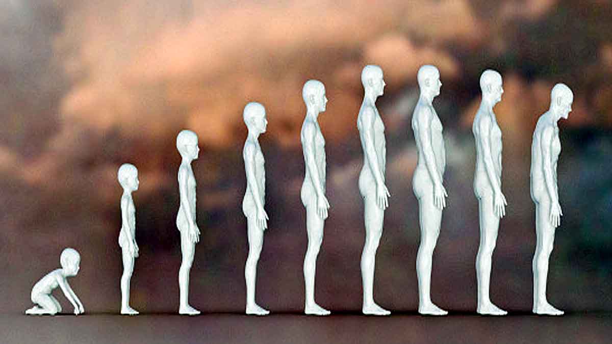 Human Body Climate Change