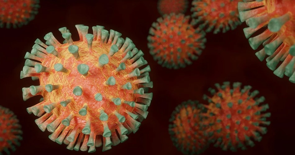 जॉनसन कंपनी का डेटा