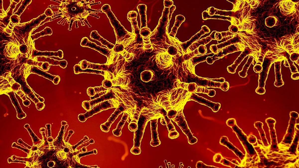 वैक्सीन ना लगवाने वालों को एक्सपर्ट्स की फटकार