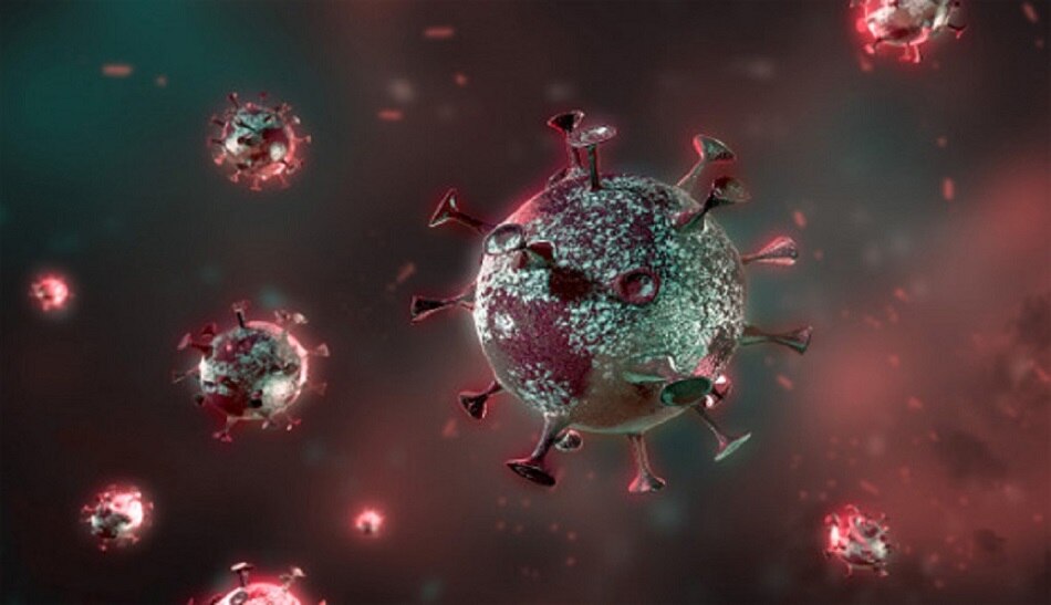  वायरस का वेरिएंट