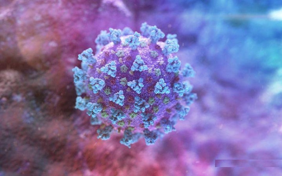 सुपर स्प्रेडर ईवेंट बना यूरो कप