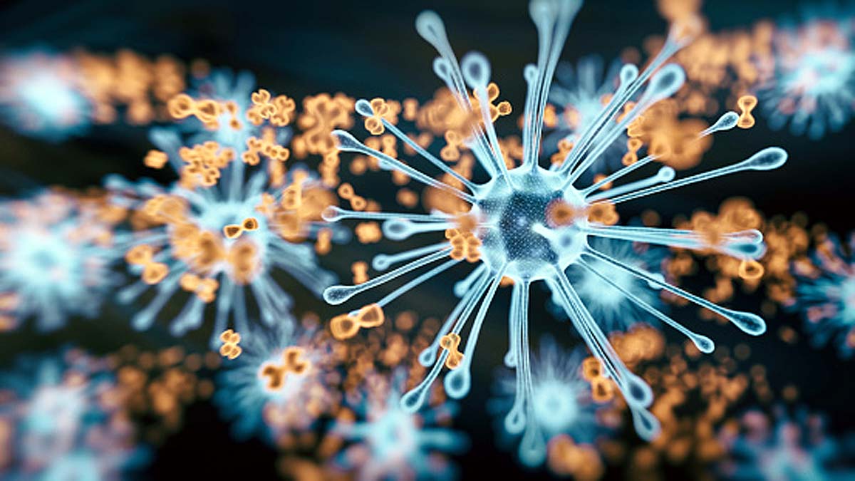 cytomegalovirus infection