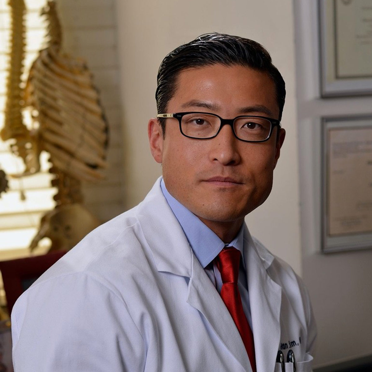 Doctor divorce beauty queen