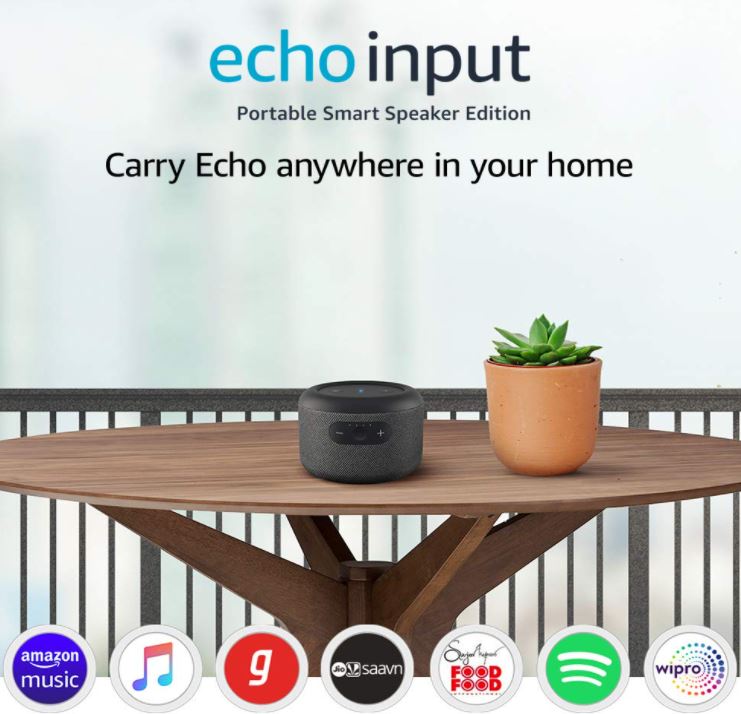 Echo Input
