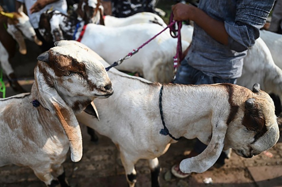 bakreed festival in world