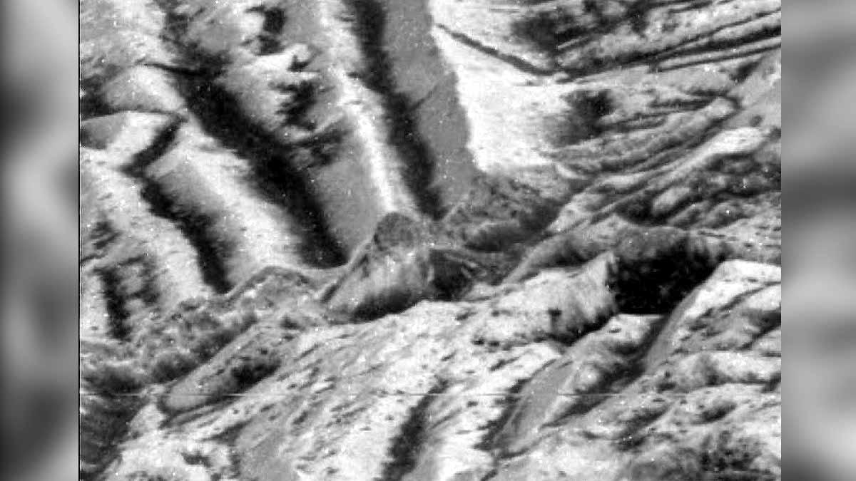 Europa Impact Garden