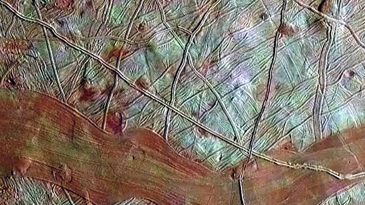 Europa Impact Garden