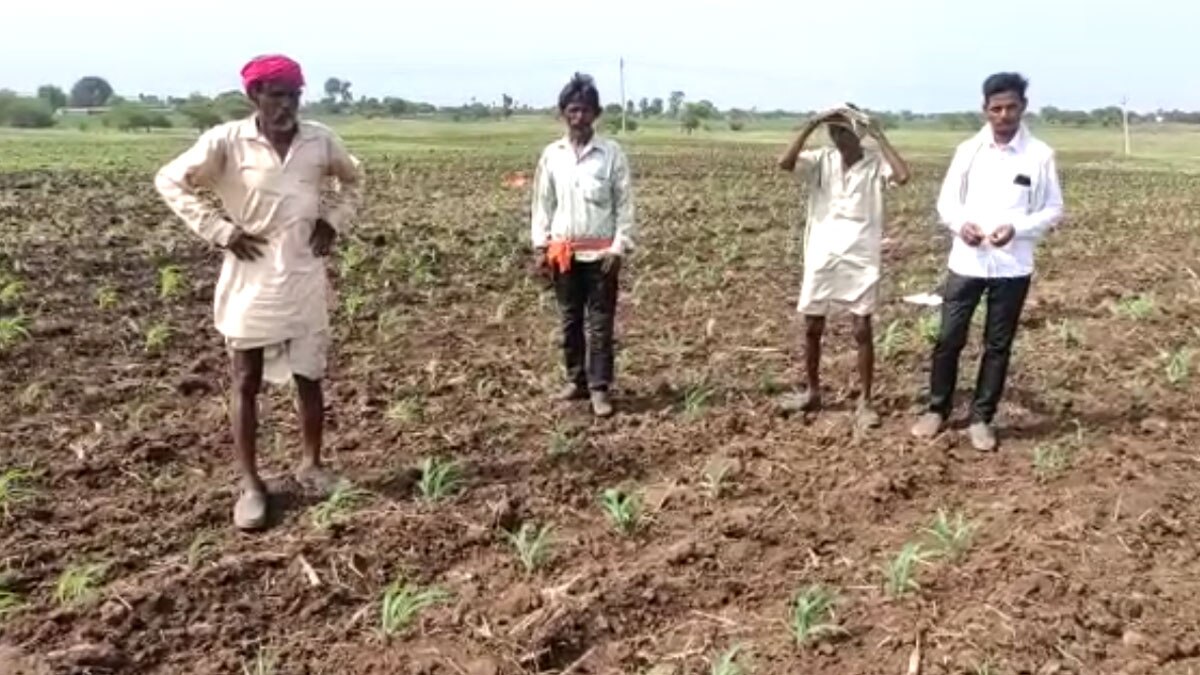 कलेक्टर ने किसान को करोड़ों की 16 बीघा जमीन वापस दिलाई 