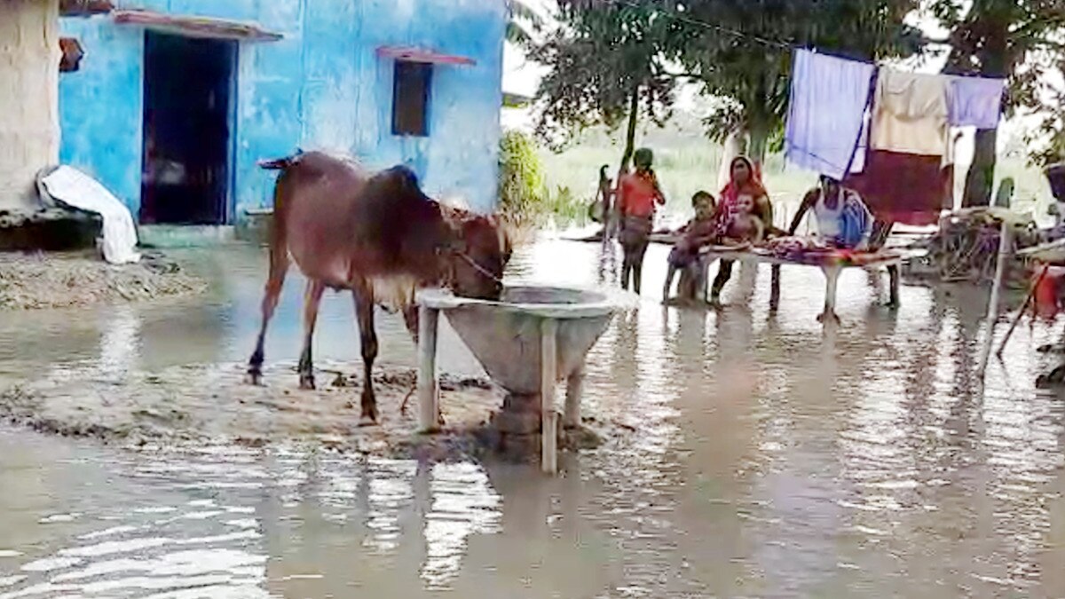 Bihar Family sitting on scaffolding flood
