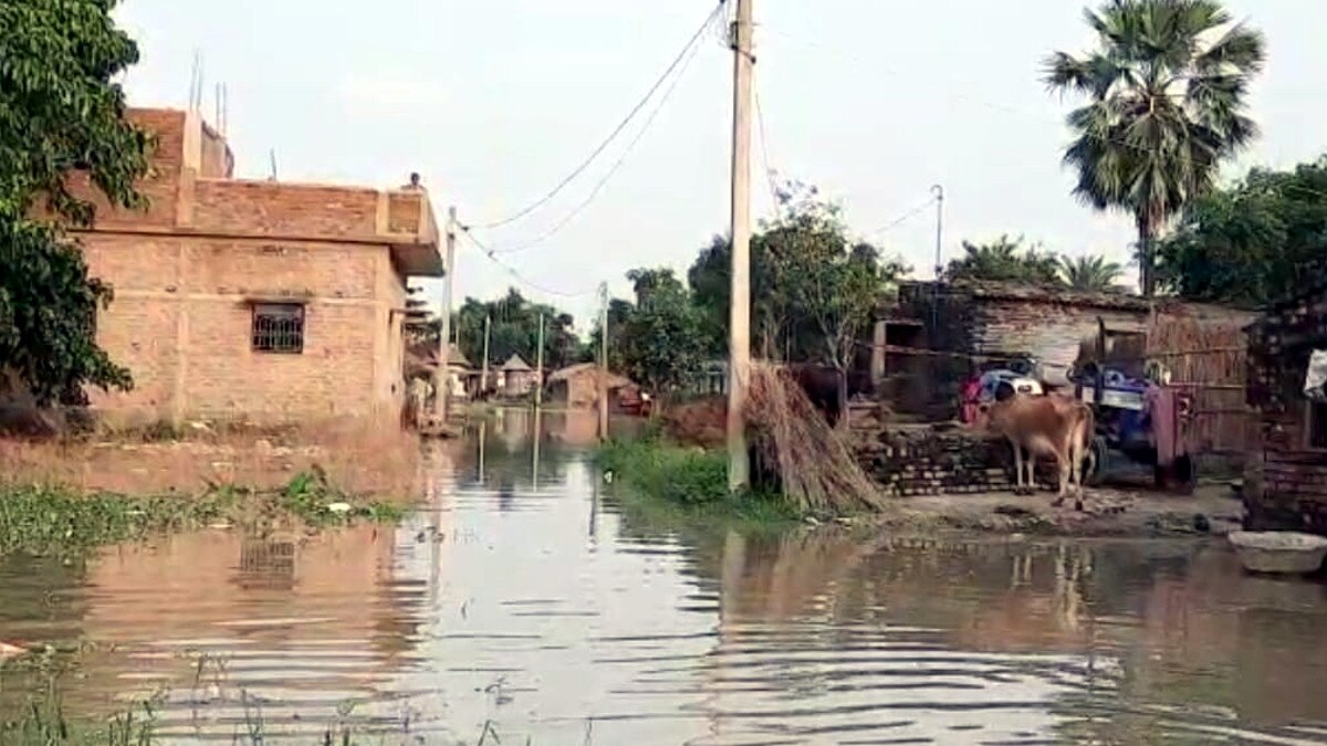 Bihar Family sitting on scaffolding flood