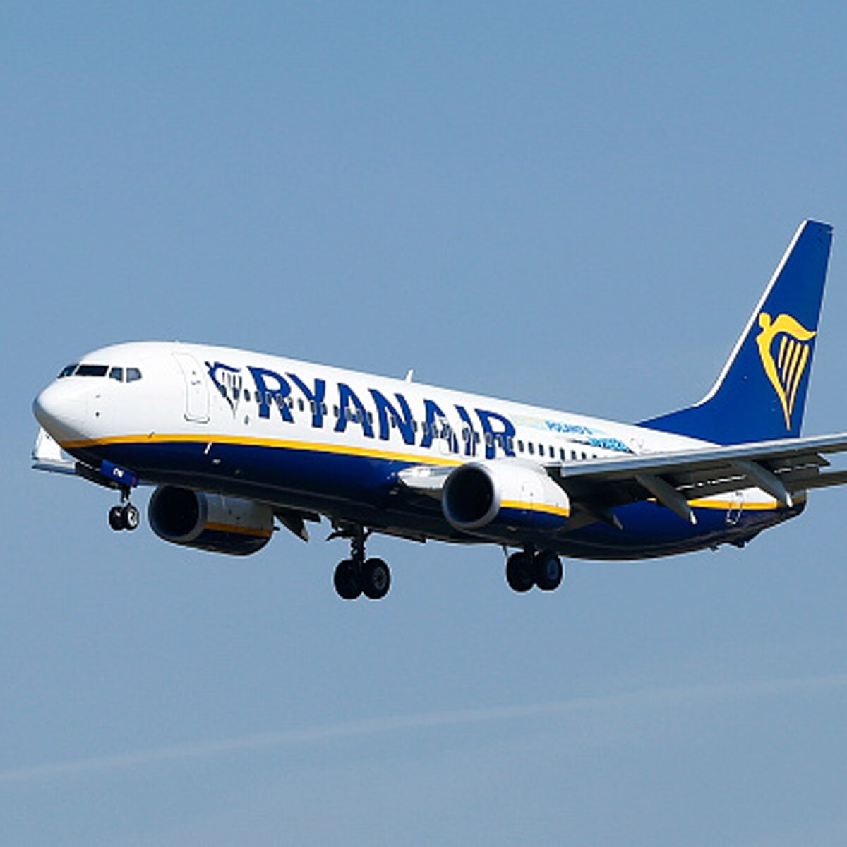 Ryanair passenger dies