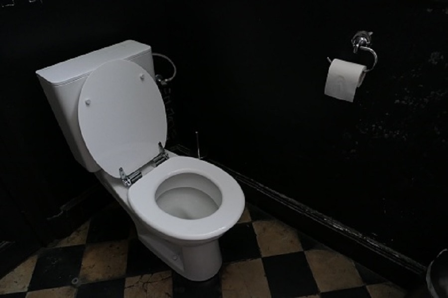 girl head stuck in toilet seat