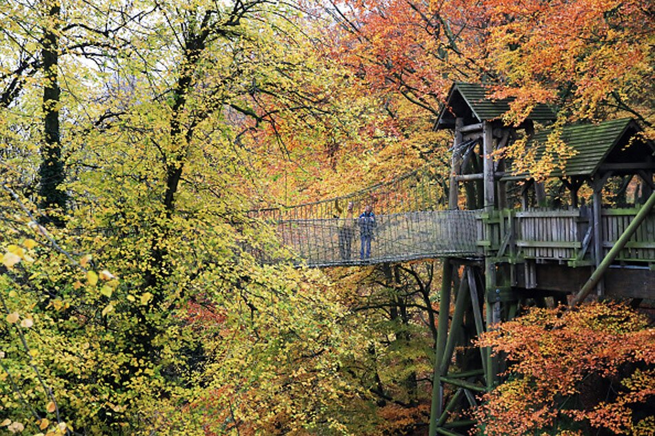 Alnwick Poison Garden