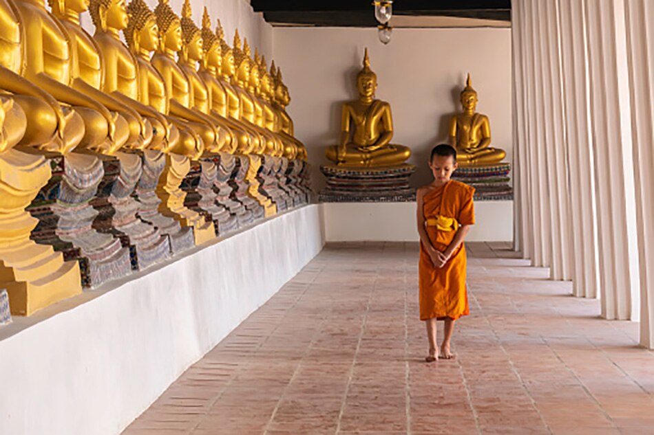 monk turned freedom fighter