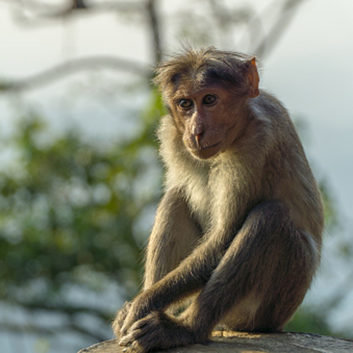 सभी फोटो (क्रेडिट- Getty Images) 