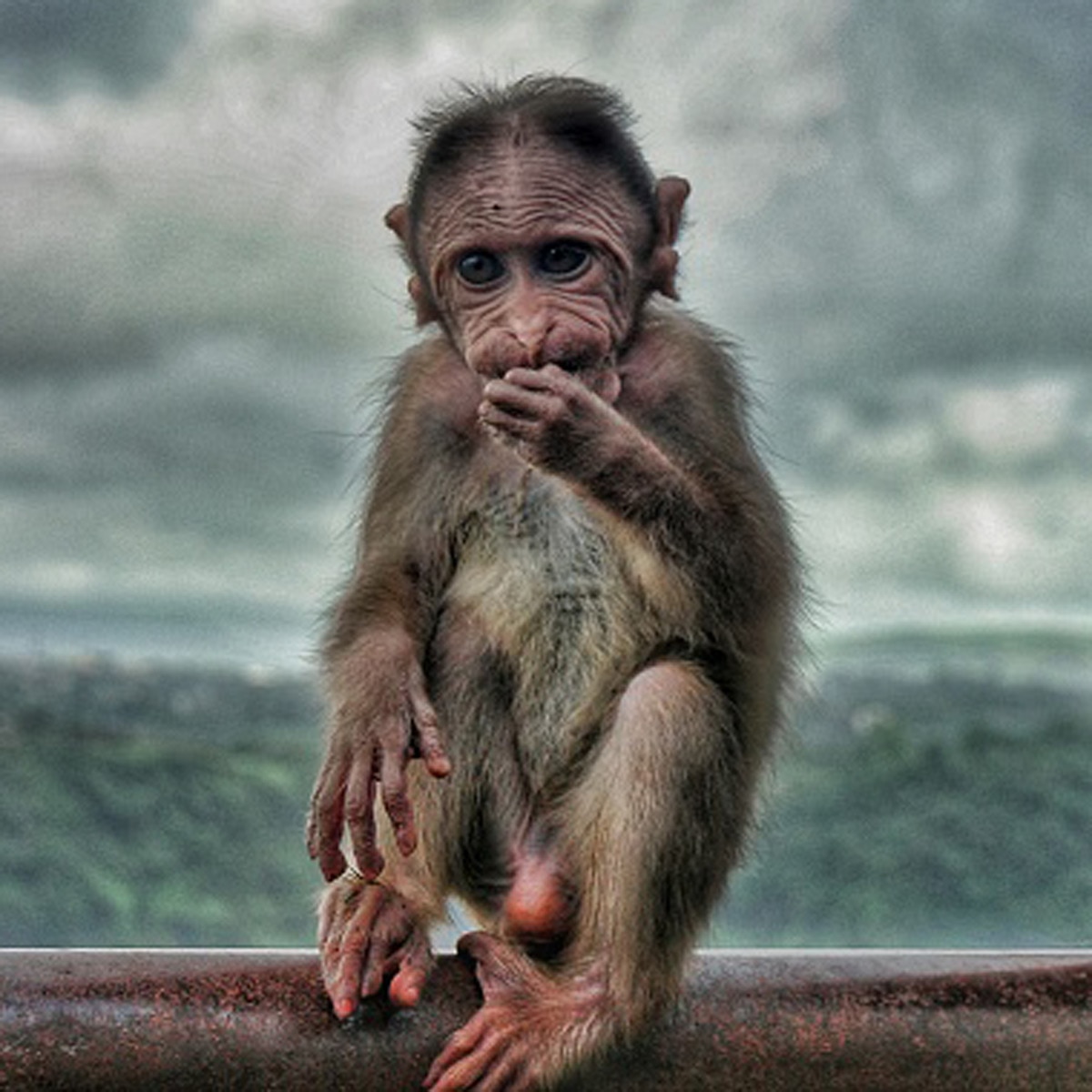 सभी फोटो (क्रेडिट- Getty Images) 