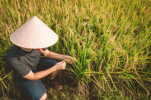 malaysia helicopter delivery