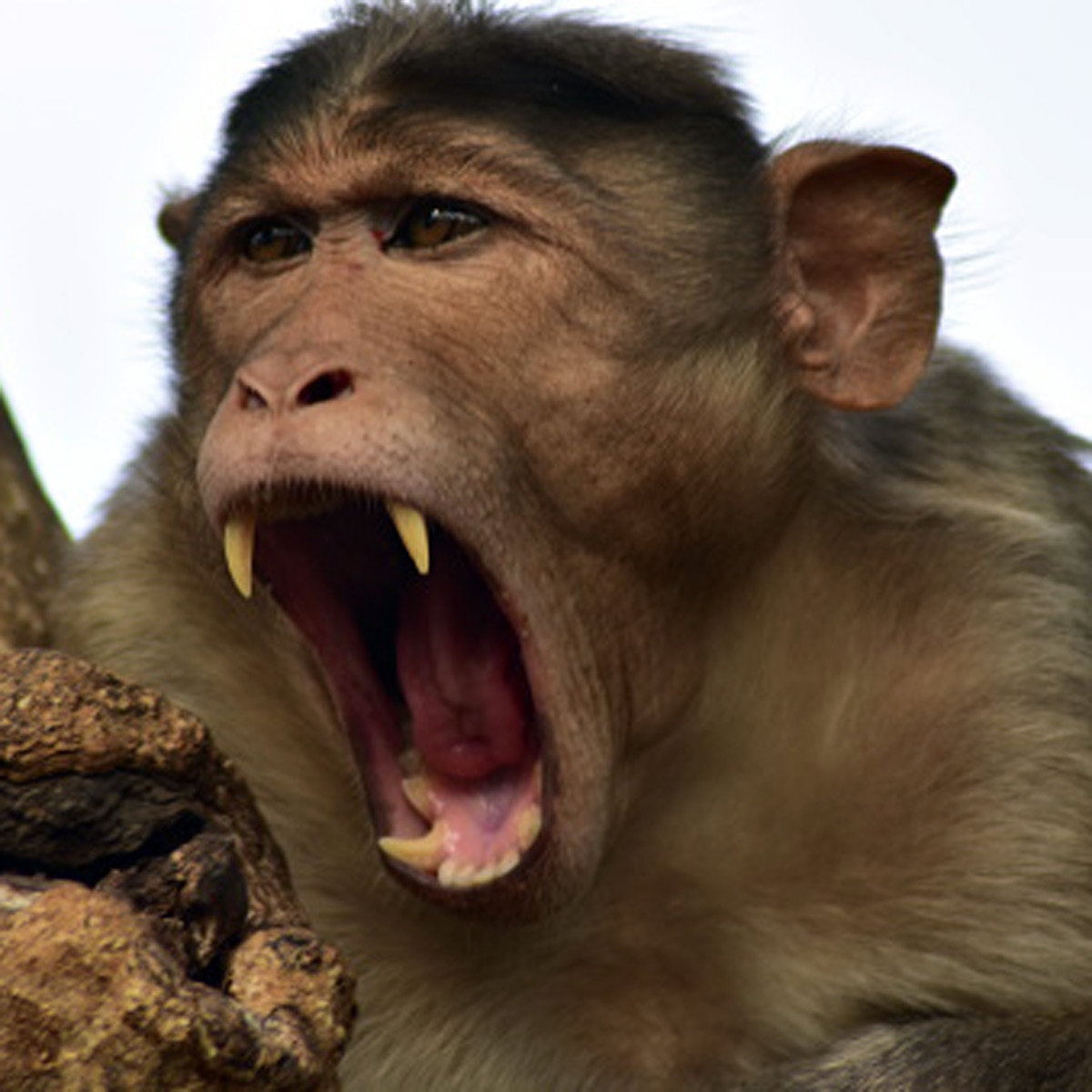 सभी फोटो (क्रेडिट- Getty Images) 