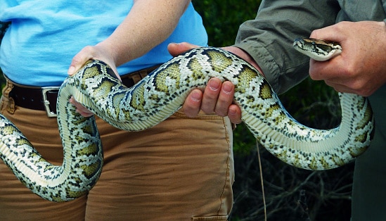snake bite man washroom