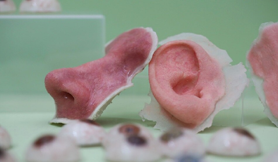 ear