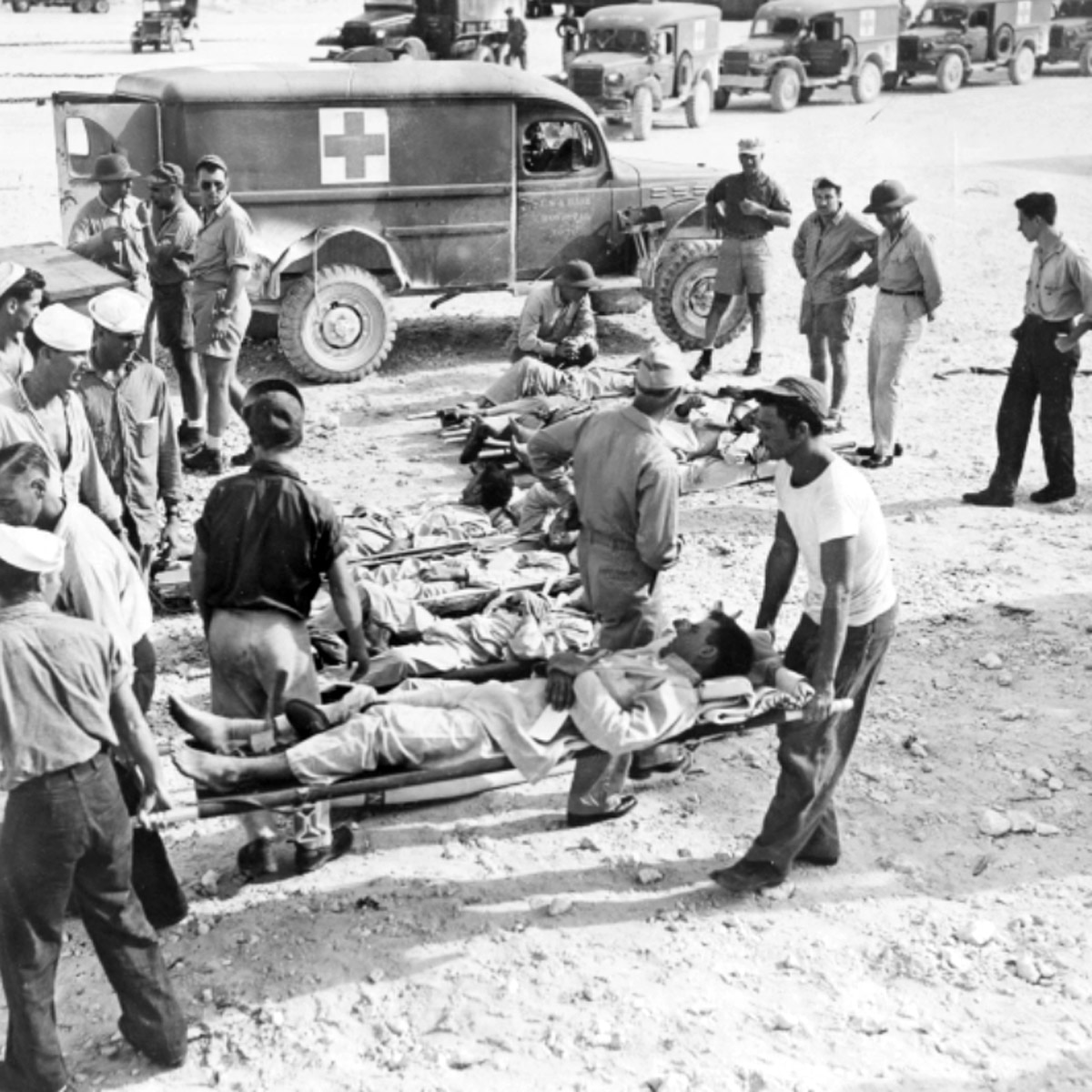 shark USS Indianapolis