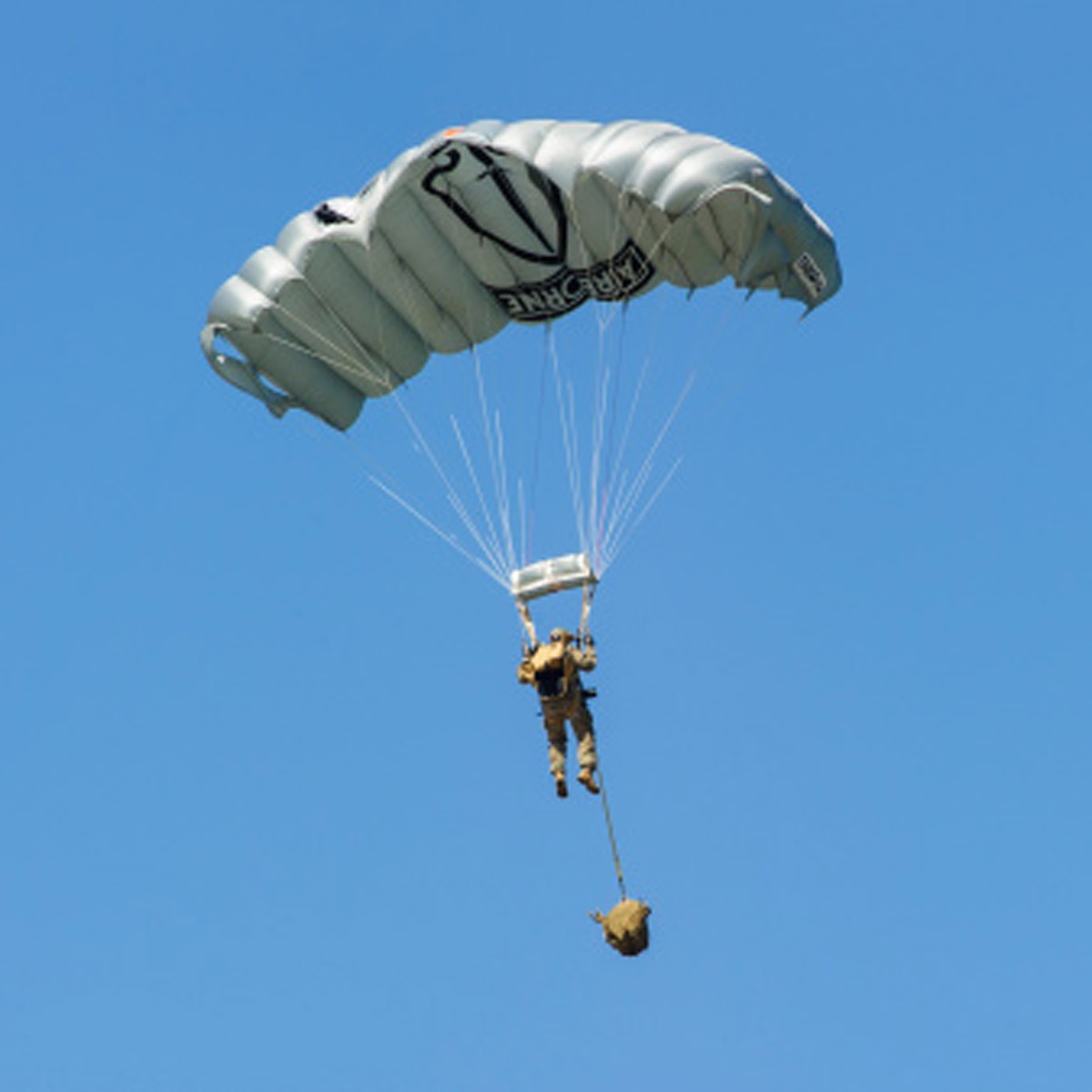 Parachuter plunges through roof